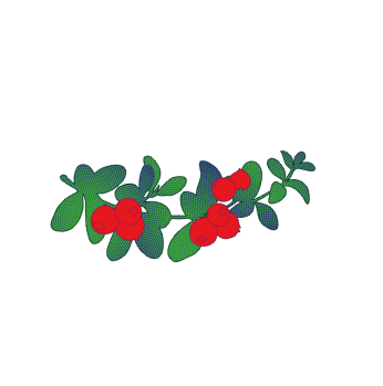  ПОЛИНА ПУШКИНА